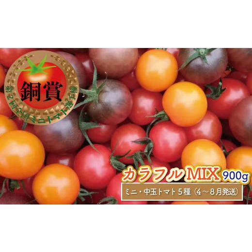 ふるさと納税 高知県 佐川町 ＜900g＞カラフル トマト 5種MIX フルティカなど＞ましまファーム ミニトマト フルーツトマト アイメック? 送料無料 【1…