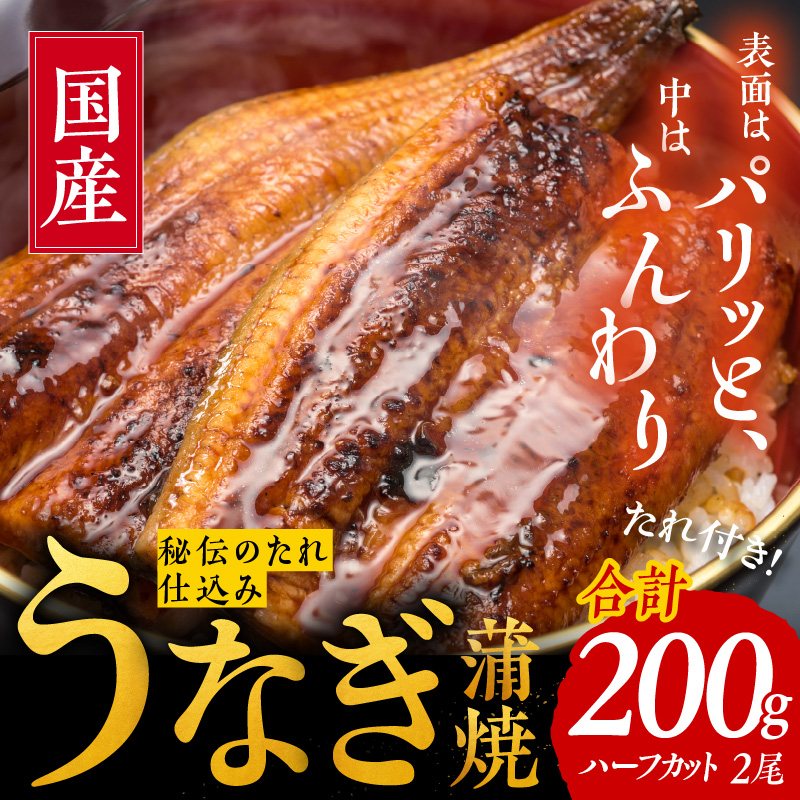 010B904 国産うなぎ ハーフカット 合計 200g 秘伝のたれ 蒲焼 訳あり 鰻 ウナギ 無頭 炭火焼き 備長炭 手焼き