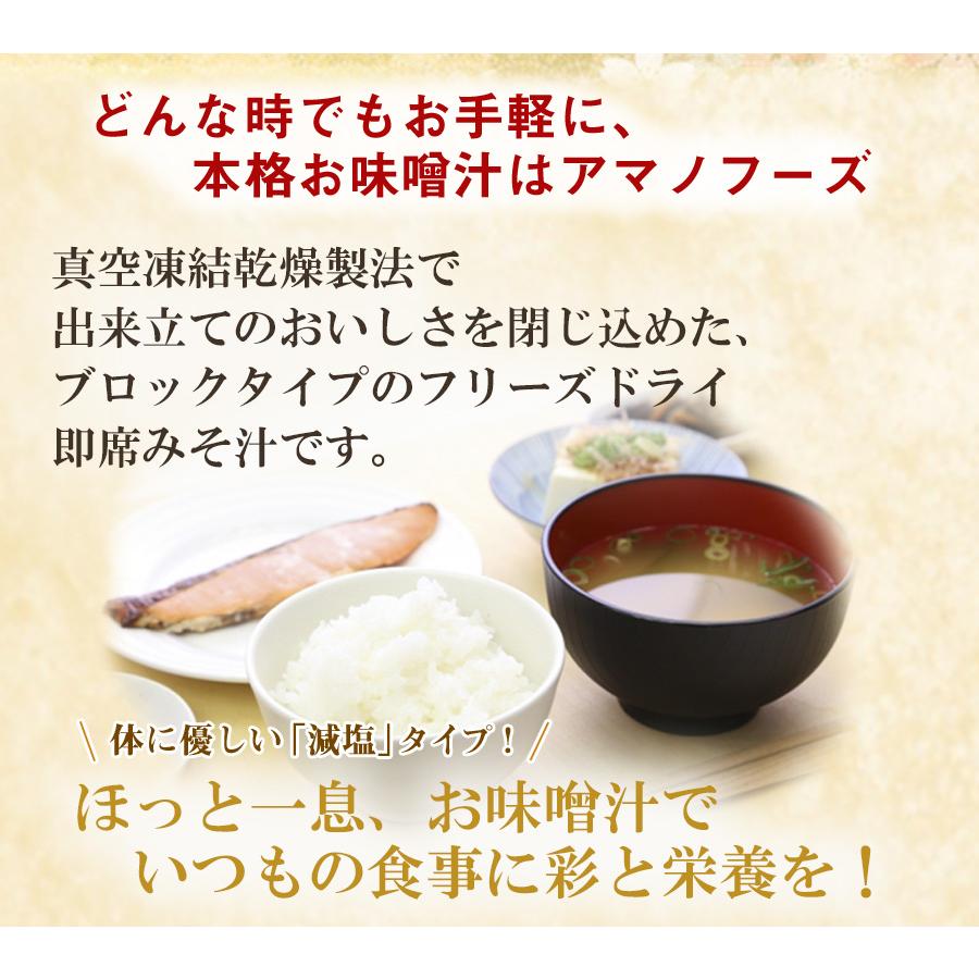 アマノフーズ 減塩 いつものおみそ汁バラエティセット 5種類計10食入り フリーズドライ