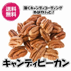 キャンディピーカン 120g／60gパックが2ふくろ入 ピーカンナッツの飴掛け ナッツ 送料無料（キャンデP60g×2P）ピーカンナッツ ペカンナ