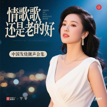 情歌還是老的好 | 經典老歌傳唱 燒友必聽好歌 發燒音質音樂CD碟