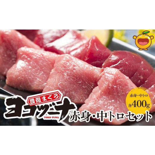 ふるさと納税 大分県 津久見市 豊後まぐろ ヨコヅーナ  赤身400ｇ 中トロ400g 鮪 マグロ 海鮮丼 刺し身 盛り合わせ 冷凍 魚の刺身 大分県産 九州産 津久見市