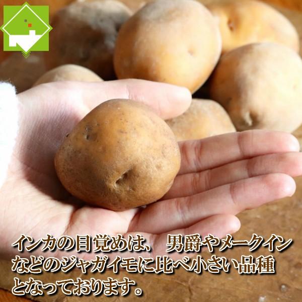 じゃがいも 北海道産 インカのめざめ 1ｋｇ (10玉から１５玉前後) 送料無料