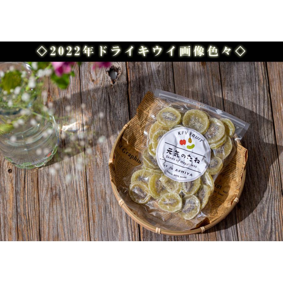 ドライフルーツ キウイ キウイフルーツ 程よい厚さのスライスタイプ 500g（ 食物繊維が豊富な健康おやつ ） 乾燥キウイ 乾燥野菜 ドライ 乾燥 きうい お菓子