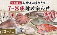 山神丸の獲れたて直送! 石巻の鮮魚（7～8種） 詰め合わせ3～5㎏（大）