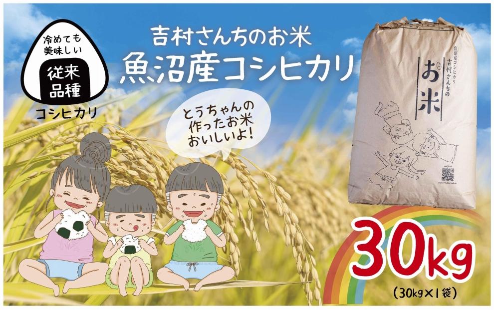 ｜従来品種｜ 魚沼産 コシヒカリ 30kg  米 こしひかり お米 コメ 新潟 魚沼 魚沼産 白米 送料無料 新潟県産 精米 産直 農家直送  お取り寄せ 吉村さんちのお米 新潟県 十日町市 DE301