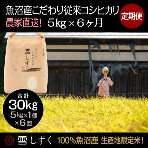 ふるさと納税 定期便！魚沼産こだわり従来コシヒカリ毎月5kg×6回 新潟