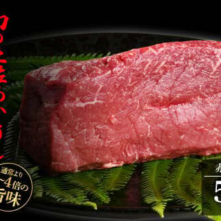 天下味 エイジング工法 熟成肉 土佐あかうし 特選赤身ブロック 500g エイジングビーフ 赤身 牛 ブロック 国産 あか牛 赤牛 肉 牛肉 和牛 人気 老舗焼肉店 冷凍 新鮮 真空パック 高級 お祝