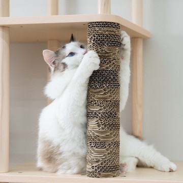 瓦楞抓抓柱-單入