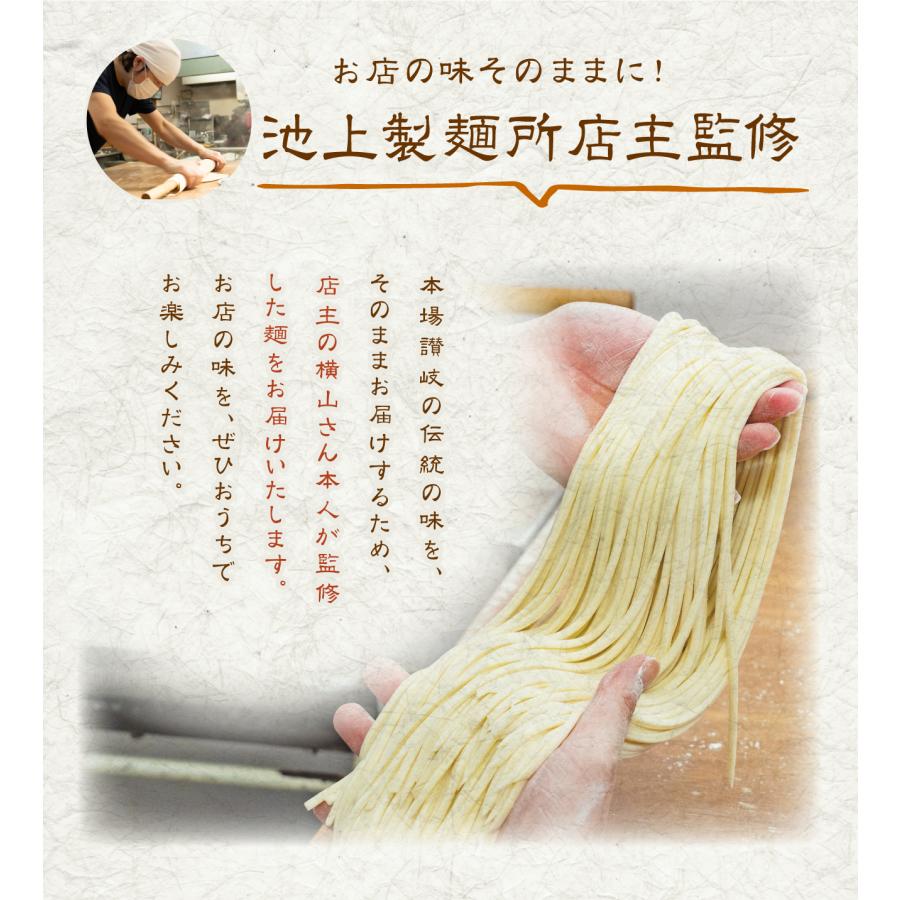 さぬき麺心 池上製麺所 釜玉うどん 6人前