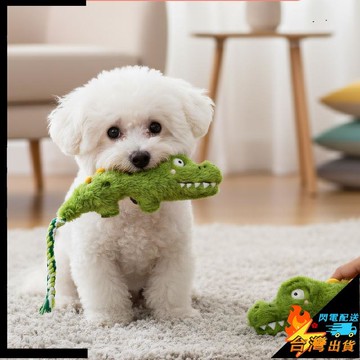 【台灣出貨】寵物玩具 狗狗玩具 磨牙 繩結 毛絨發聲 自嗨解悶神器 耐咬 消耗體力 寵物小狗幼犬