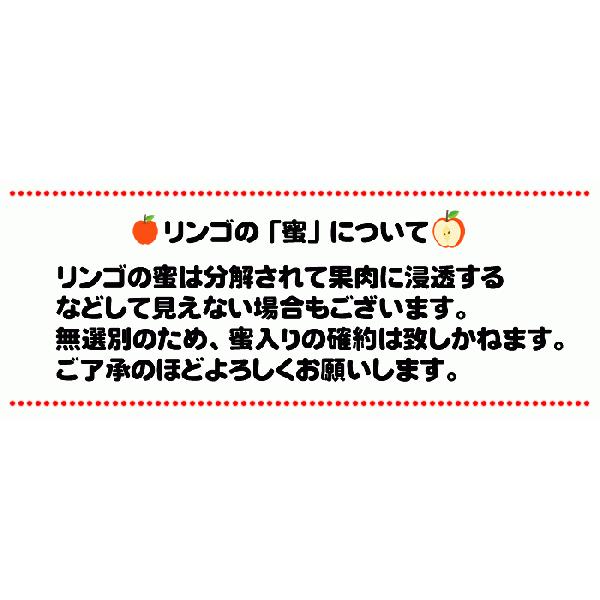 予約販売 秀品 ギフト お歳暮 送料無料 山形県産 りんご サンふじ 3kg 10〜12玉 [秀品りんご３キロキャップ入り]