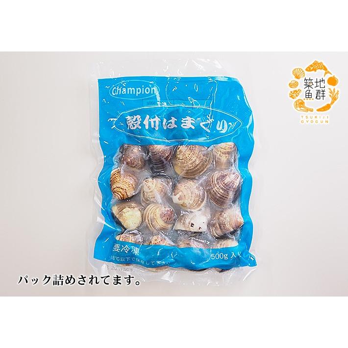 殻付はまぐり（ボイル冷凍）500g 冷凍便