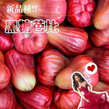 【鮮果日誌】蓮霧界的LV 黑糖芭比 (2.5台斤精美禮盒裝)