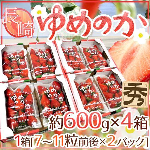 長崎産イチゴ ”ゆめのかいちご” 約600g×4箱（1箱あたり約300g×2pc） 送料無料