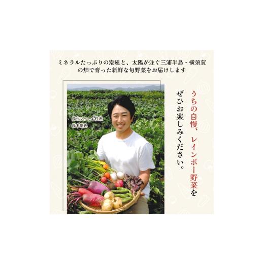 ふるさと納税 神奈川県 横須賀市 すずなり採れたて野菜BOX（お試し） 60サイズ 横須賀市 よこすか野菜【野菜 旬 サラダ セット 採れたて おま…