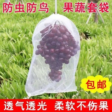 💖桃園出貨💖✨柔軟耐用套葡萄水果枇杷防蟲防鳥白色紗網套袋透氣透光防果蠅樹苗防蟲網袋 Q1AZ