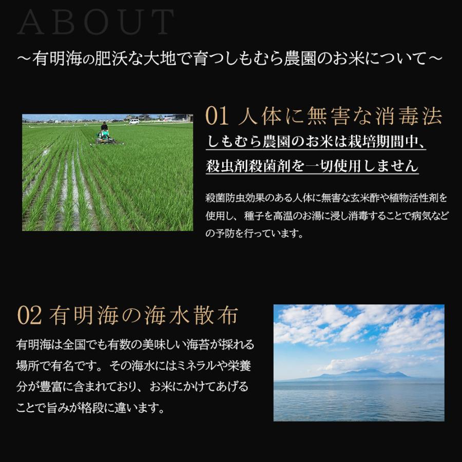 令和5年産 特別栽培米「ヒノヒカリ・さがびより」食べ比べ セット各5kg 米 佐賀県産米 減農薬 特別栽培米 しもむら農園