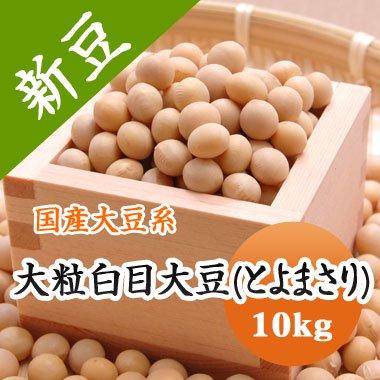 豆 大豆　とよまさり 北海道産 送料無料 味噌 令和４年産 10kg