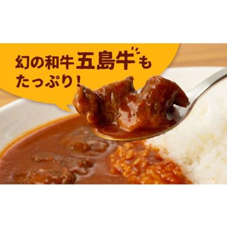 ふるさと納税 こだわりの五島ハヤシ5箱セット 化学調味料・着色料不使用 創作郷土料理いつき 五島産 牛肉 野菜五島市 出口さんご.. 長崎県五島市