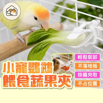 《家有毛孩🐾》鸚鵡餵食蔬果夾 小寵蔬菜水果夾 水果零食夾 墨魚骨固定夾 小寵食物夾 小寵餵食器 籠內配件 小寵用品