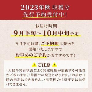 ふるさと納税 ≪先行予約≫ご家庭用 2024年 山形県 高畠町産 シャインマスカット 粒詰合せ 800g以上(400g×2) 2024年9月下旬.. 山形県高畠町