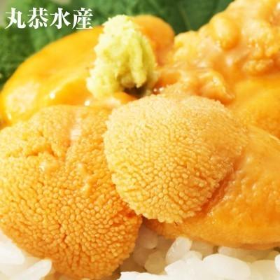 うに ウニ  バフンウニ 100g×2 北方四島産 無添加 塩水うに 自社製造