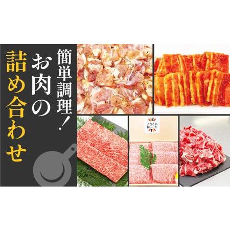 ふるさと納税 簡単調理!お肉の詰め合わせセット(計　約4.7kg) 高知県高知市