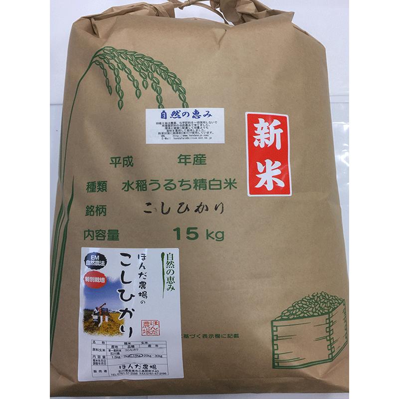 令和5年産 新米  自然農法特別栽培米こしひかり食用 玄米 15kg 「自然の恵み」  加賀百万石