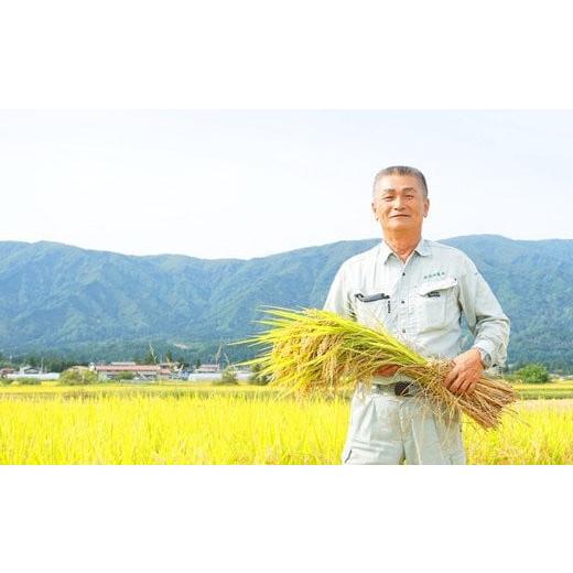 ふるさと納税 山形県 長井市 野川清流米「ミルキークイーン」30kg(30kg×1袋)_A091(R5)