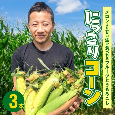 ふるさと納税 碧南市 朝採り直送 メロンより甘い 生とうもろこし“にっこりコーン” 3本 H095-025