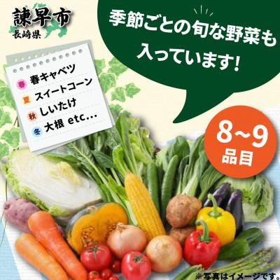 ふるさと納税 諫早市 諫早産野菜の詰め合わせ(8〜9品目程度)