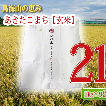 《定期便》18kg×12ヶ月 秋田県産 あきたこまち 玄米 2kg×9袋 神宿る里の米「ひの米」（お米 小分け）