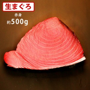 送料無料　マグロ専門卸会社直送　冷蔵・上まぐろ（赤身）約500g　血合・皮付きブロック　生マグロ