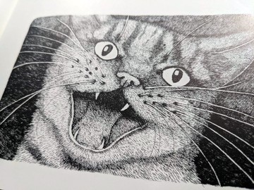 本書採下單後開始尋書/Selina, the Mouse and the Giant Cat