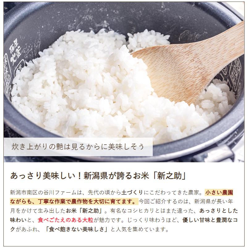 新潟産 新之助 無洗米8kg（2kg×4袋） 谷川ファーム 送料無料