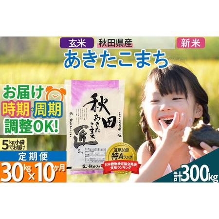 ふるさと納税 ＜新米＞ 《定期便10ヶ月》秋田県産 あきたこまち 30kg (5kg×6袋)×10回 令和5年産 時期選べる30キロ お米 秋田県仙北市