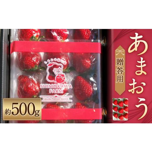 ふるさと納税 福岡県 筑後市 あまおう 贈答用（約500g） いちご 果物 フルーツ 福岡県産