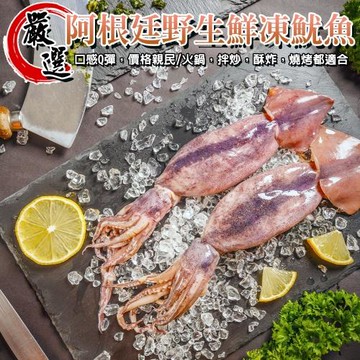海肉管家-阿根廷野生鮮凍魷魚共8尾(2尾_260-340g/包)