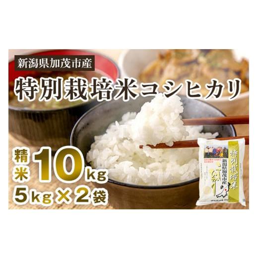 ふるさと納税 新潟県 加茂市 新潟県加茂市産 特別栽培米コシヒカリ 精米10kg（5kg×2）白米 従来品種コシヒカリ 加茂有機米生産組合