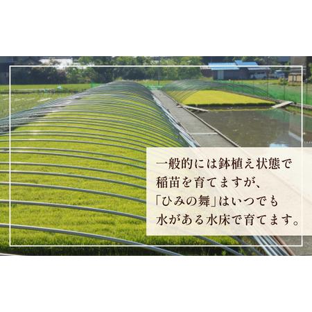 ふるさと納税 令和5年産 富山県産 コシヒカリ ひみの舞 10kg＜11月初旬以降順次発送＞ 富山県 氷見市 コシヒカリ 令和5年度 こしひかり 富山県氷見市