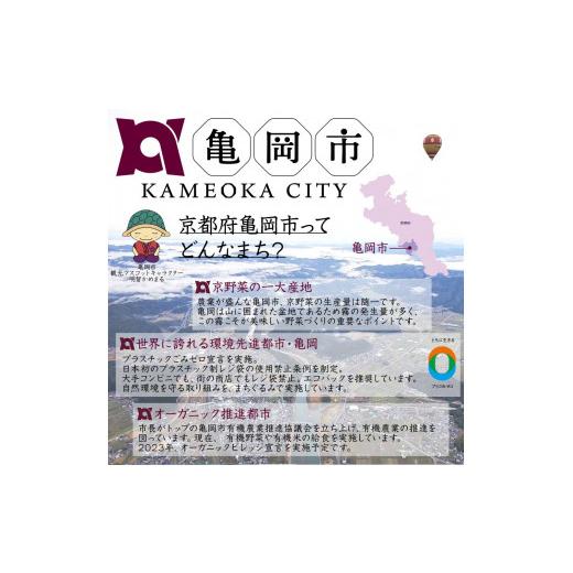 ふるさと納税 京都府 亀岡市 ＜京都・矢田の里＞産地直送！有機JAS認定 京野菜・農家のこだわり野菜・新鮮卵など お楽しみセット1年間お届け≪…