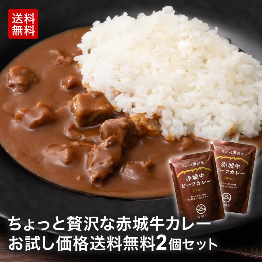 ちょっと贅沢な赤城牛ビーフカレー（贅沢中辛）200g×2 国産牛 牛肉 レトルトカレー 鳥山 送料無料 内祝い 贈答