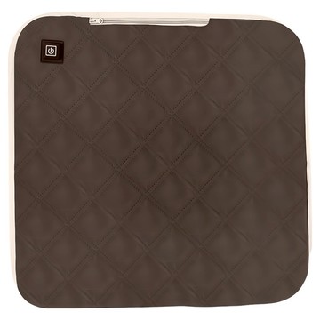 QLZHS 石墨烯多用加熱坐墊/USB智能發熱墊/保暖汽車坐墊/發熱暖背椅墊/秋冬加熱保暖墊  咖啡色  45 x 45cm