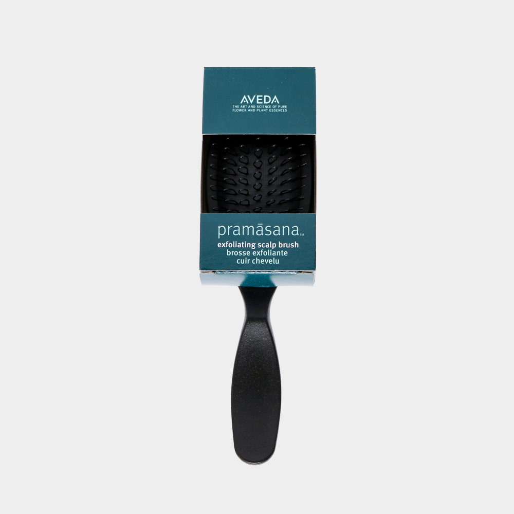 AVEDA 頭皮瑕淨去角質梳