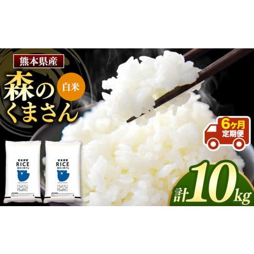 ふるさと納税 熊本県 玉名市 森のくまさん 白米 10kg （5kg×2袋）×6回