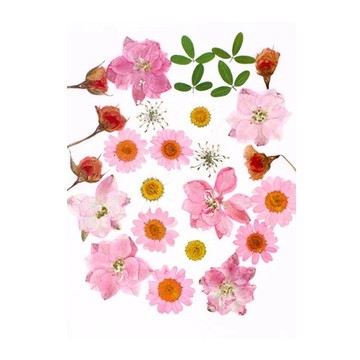 A-ONE 匯旺 真花壓花包 量販包  粉紅泡泡  1包