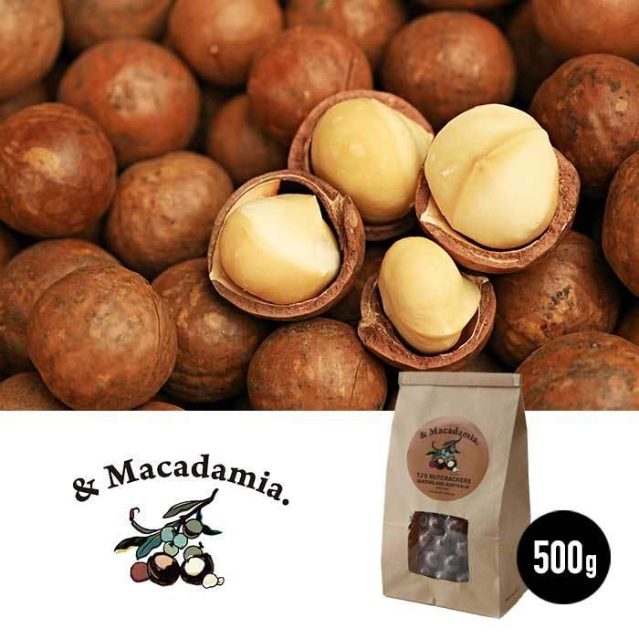 マカダミアナッツ 500g 殻付き  MAKADAMIA アンドマカダミア  [201007]