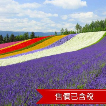 省最大北海道｜紫色薰衣草.富田農場花田.美瑛青池.小樽漫遊.溫泉五日｜保住一晚溫泉_SJP05CCKA1