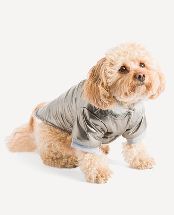 Kenneth Cole | Metallic Hooded Puffer Dog Coat in Gray